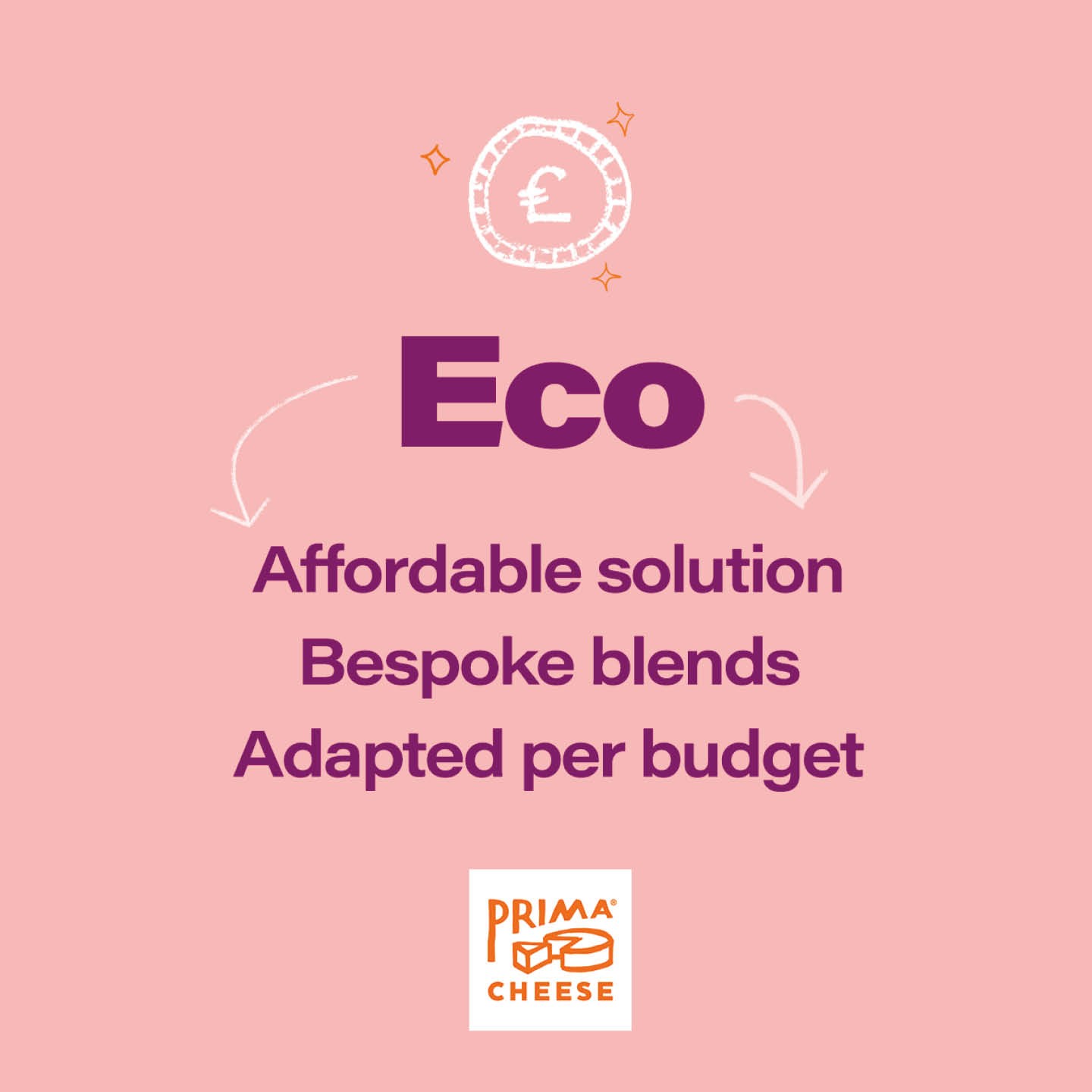 Pink background overlaid with purple text. It says, Eco. Affordable solution, bespoke blends, adapted per budget. A white drawing of a coin is positioned above it.